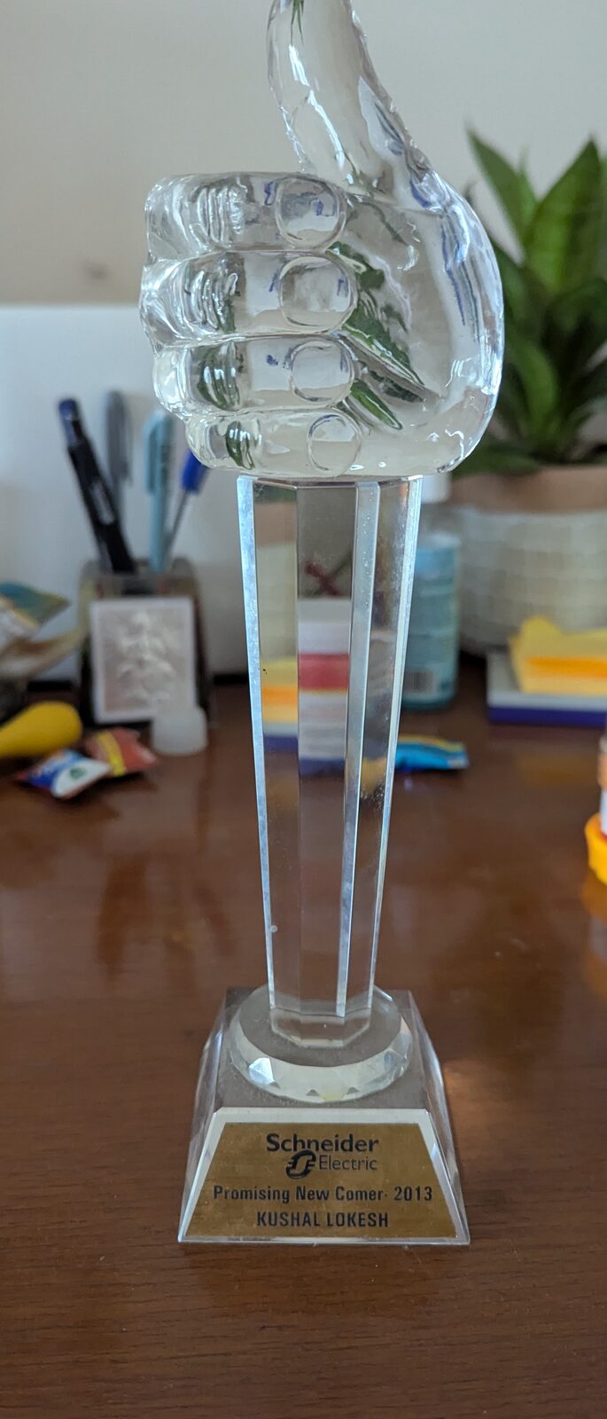 Most Promising Newcomer 2013 crystal trophy